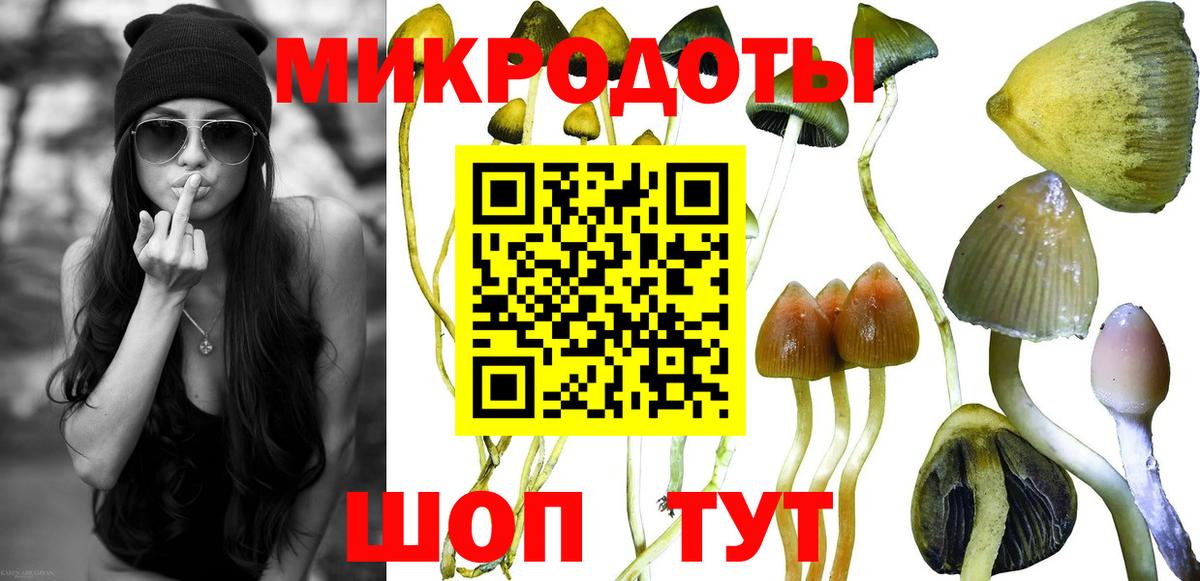 Галлюциногенные грибы MAGIC MUSHROOMS  Галлюциногенные грибы Cubensis  Вход с VPN  Сунжа 