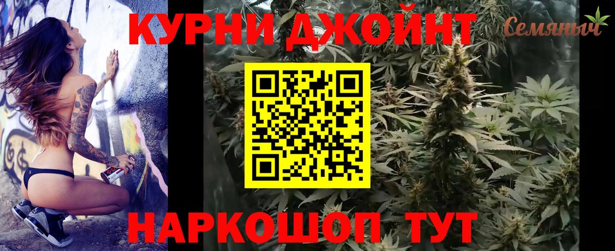 Каннабис сатива  Вход с VPN  Сунжа  МАРИХУАНА планчик 